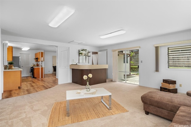 47-541 Hui Iwa St, Kaneohe, HI 96744 - living room featuring light carpet