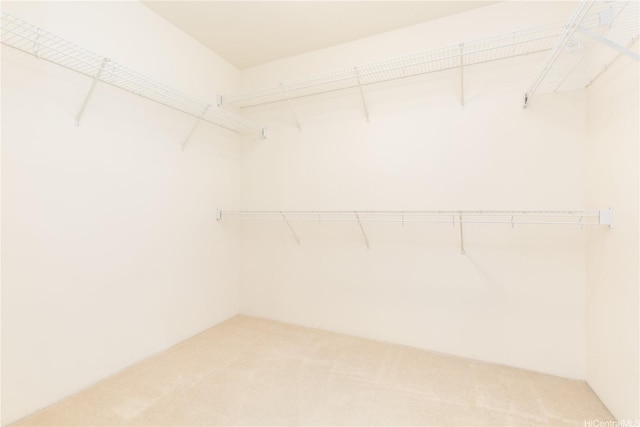 520 Lunalilo Home Rd Unit 7121, Honolulu, HI 96825 - walk in closet featuring light carpet