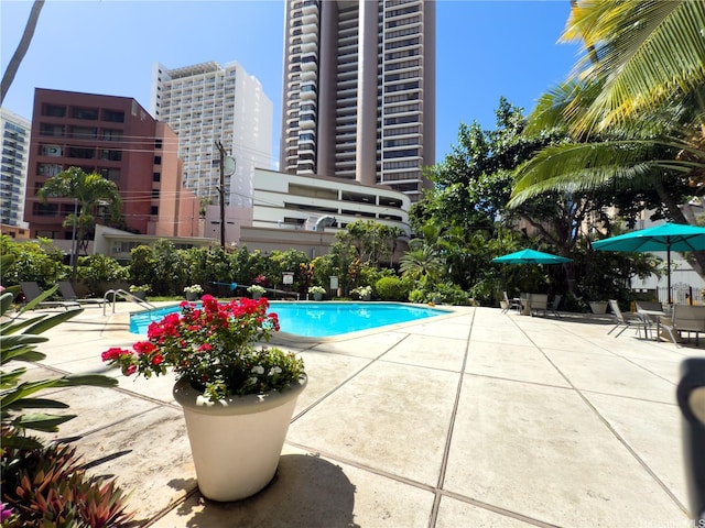 425 Ena Rd Unit 1201B, Honolulu, HI 96815 - community pool featuring a patio and a city view