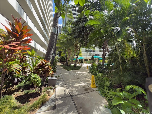 425 Ena Rd Unit 1201B, Honolulu, HI 96815 - view of community featuring a patio area