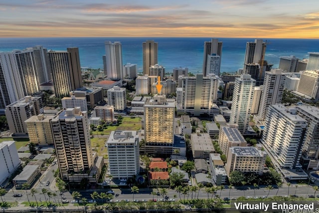2452 Tusitala St Unit 1101, Honolulu, HI 96815 - view of city with a large body of water