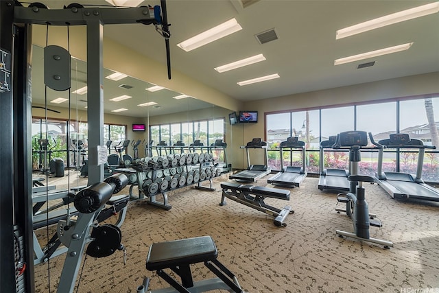 91-1338 Kaiokia St, Ewa Beach, HI 96706 - workout area featuring carpet flooring