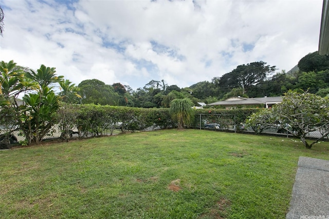 969 Lunahooko Pl, Kailua, HI 96734 - photo 23