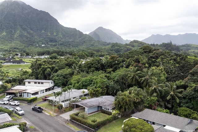 969 Lunahooko Pl, Kailua, HI 96734 - photo 25