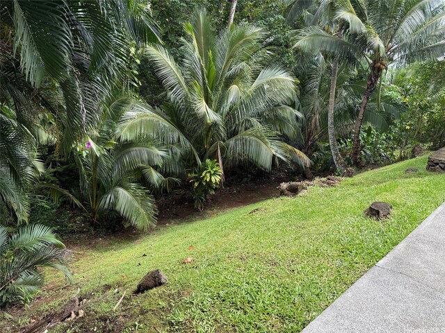 969 Lunahooko Pl, Kailua, HI 96734 - photo 22
