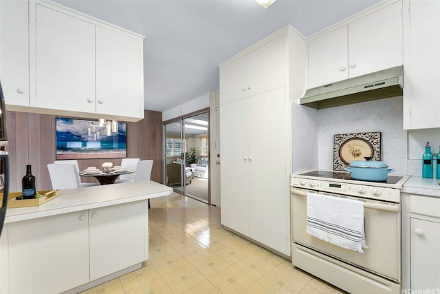 3483 Ala Hinalo St, Honolulu, HI 96818 - kitchen featuring white electric range oven, under cabinet range hood, light countertops, and white cabinets