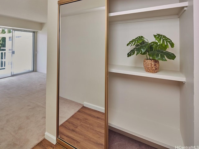 1333 Heulu St Unit 408, Honolulu, HI 96822 - view of closet