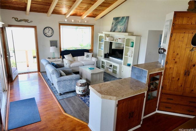 51-416 Kamehameha Hwy Unit A, Kaaawa, HI 96730 - living room with wood ceiling, wood finished floors, and healthy amount of natural light