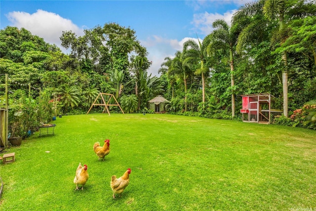 1149 Maunawili Rd, Kailua, HI 96734 - view of green lawn with exterior structure and an outbuilding