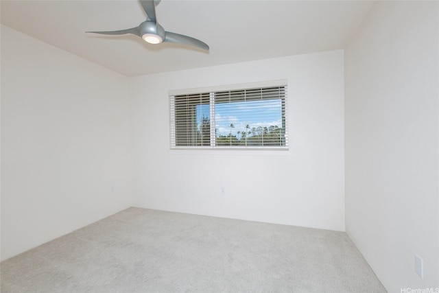 437 Kailua Rd Unit 6206, Kailua, HI 96734 - photo 18