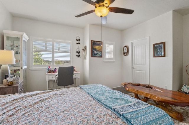 1166 Kukulu St Unit 706, Kapolei, HI 96707 - bedroom with multiple windows, ceiling fan, and baseboards