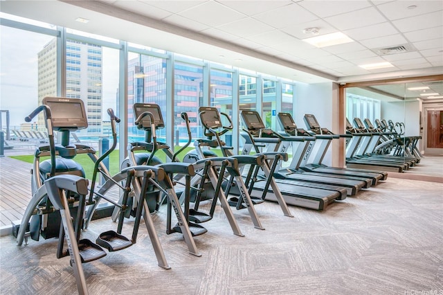629 Keeaumoku St Unit 2505, Honolulu, HI 96814 - workout area featuring carpet floors, floor to ceiling windows, and a drop ceiling