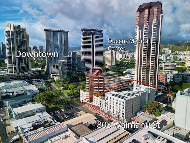 803 Waimanu St Unit 204, Honolulu, HI 96813 - city view