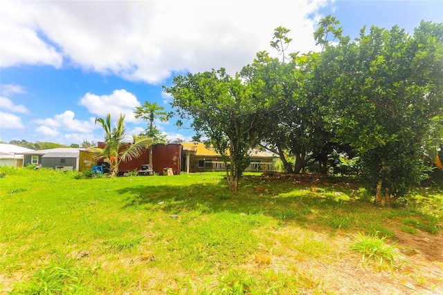 729 Nui Ave, Wahiawa, HI 96786 - view of yard