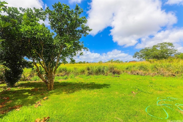 729 Nui Ave, Wahiawa, HI 96786 - view of yard