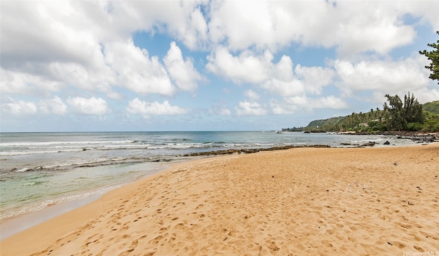 61-365 Kamehameha Hwy, Haleiwa, HI 96712 - water view featuring nearby beach