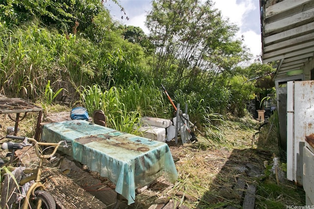 756 Iaukea St, Honolulu, HI 96813 - view of yard