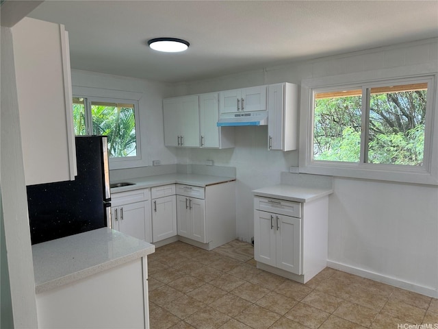 252 Moomuku Pl Unit 4, Honolulu, HI 96821 - kitchen with under cabinet range hood, freestanding refrigerator, white cabinetry, and baseboards