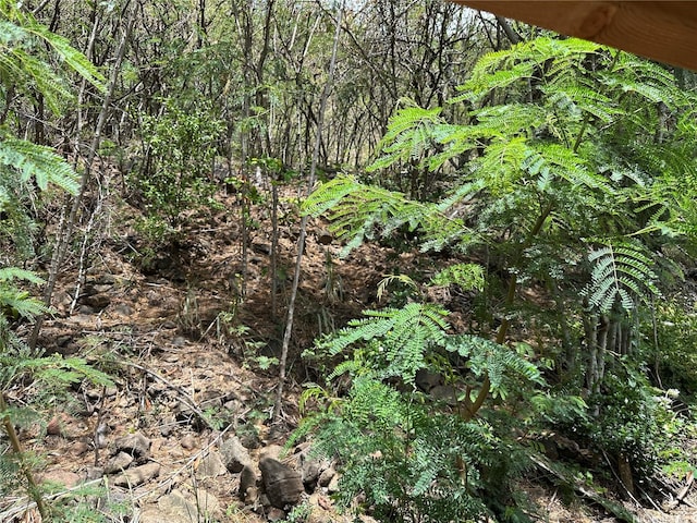 252 Moomuku Pl Unit 4, Honolulu, HI 96821 - view of undeveloped land