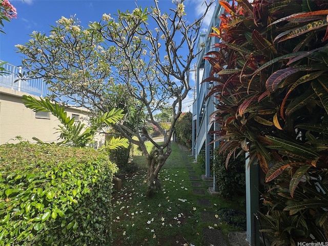 1617 Miller St Unit 3, Honolulu, HI 96813 - view of grassy yard