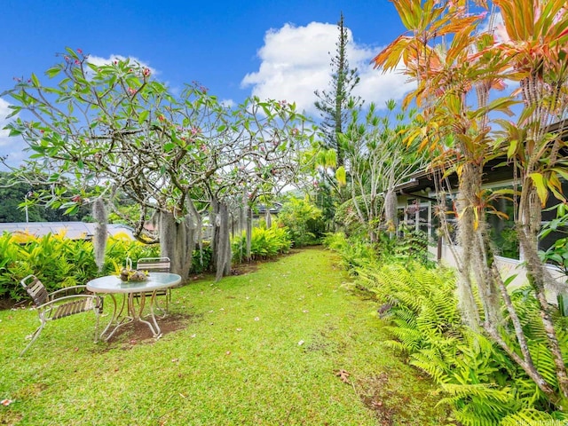 1257 Maleko St, Kailua, HI 96734 - view of grassy yard