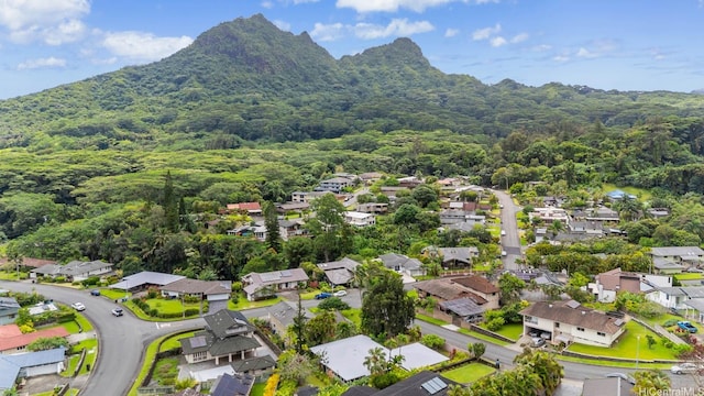 1257 Maleko St, Kailua, HI 96734 - aerial perspective of suburban area with a heavily wooded area and a mountain backdrop