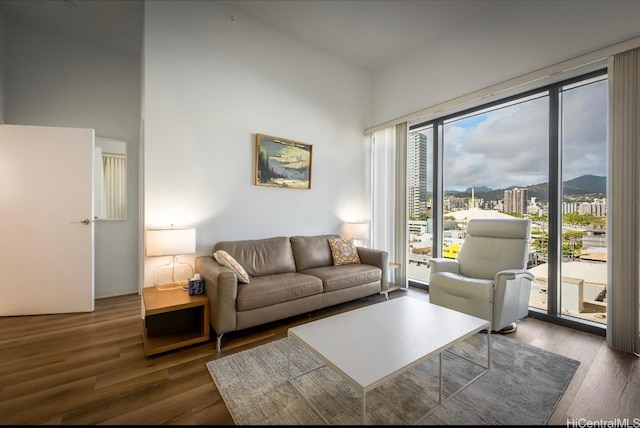 987 Queen St Unit 814, Honolulu, HI 96814 - living room featuring wood finished floors, a high ceiling, and a city view