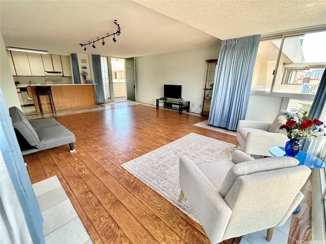 1624 Kanunu St Unit 1208, Honolulu, HI 96814 - living room featuring a textured ceiling, light wood finished floors, and rail lighting