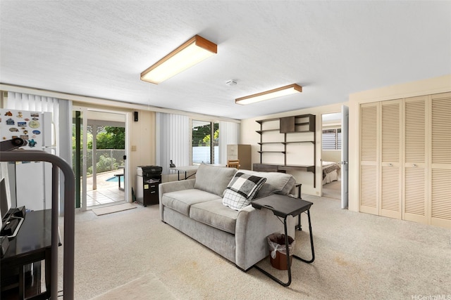 98-042 Puaalii Way, Aiea, HI 96701 - living room featuring carpet flooring