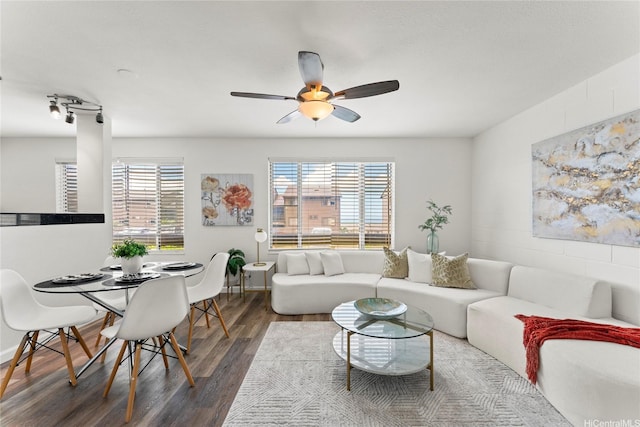 92-1132 Panana St Unit 130, Kapolei, HI 96707 - living area featuring healthy amount of natural light, wood finished floors, ceiling fan, and baseboards