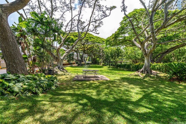 98-1042 Moanalua Rd Unit 2-303, Aiea, HI 96701 - view of green lawn