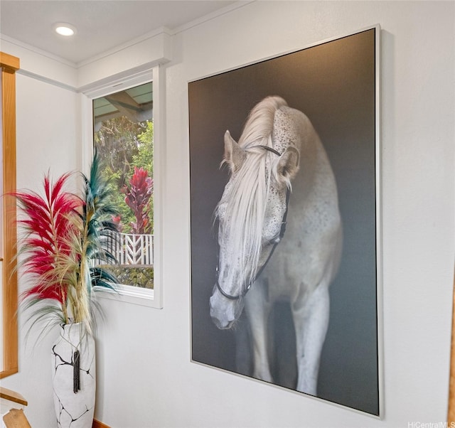45-173 Kokokahi Pl, Kaneohe, HI 96744 - detailed view of recessed lighting