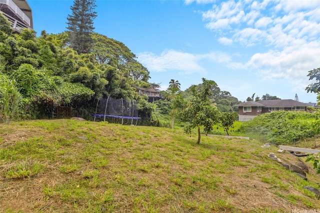 45-173 Kokokahi Pl, Kaneohe, HI 96744 - view of yard with a trampoline