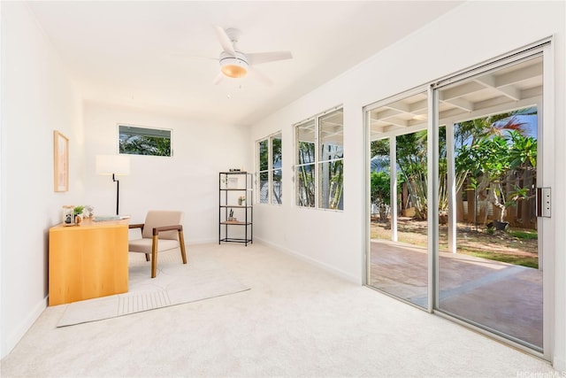 252 Anapalau St, Honolulu, HI 96825 - office space with healthy amount of natural light, carpet floors, a ceiling fan, and baseboards