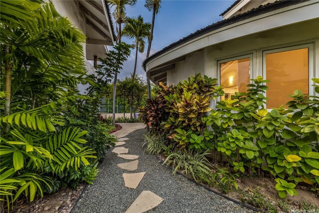 4745 Aukai Ave, Honolulu, HI 96816 - view of yard