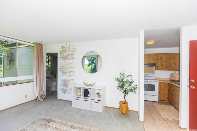 95-662 Hanile St Unit B201, Mililani, HI 96789 - living area with baseboards and light colored carpet