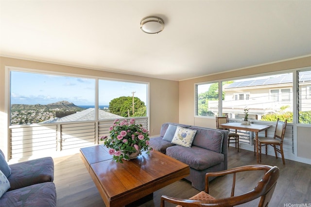 3726 Manini Way, Honolulu, HI 96816 - living room featuring wood finished floors