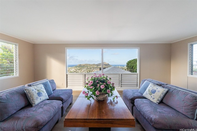 3726 Manini Way, Honolulu, HI 96816 - living area featuring crown molding and wood finished floors