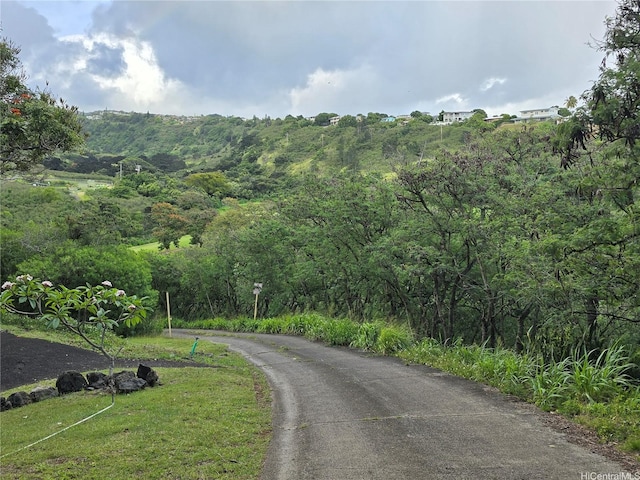 view of street featuring a view of trees