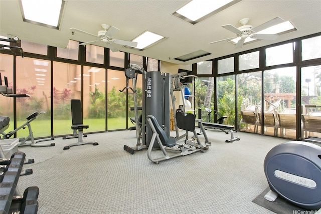 5333 Likini St Unit 110, Honolulu, HI 96818 - workout area featuring ceiling fan, floor to ceiling windows, and carpet floors