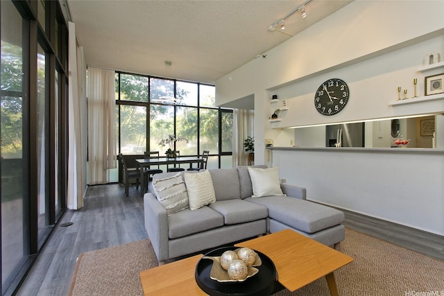 5333 Likini St Unit 110, Honolulu, HI 96818 - living area featuring expansive windows, wood finished floors, track lighting, and a textured ceiling