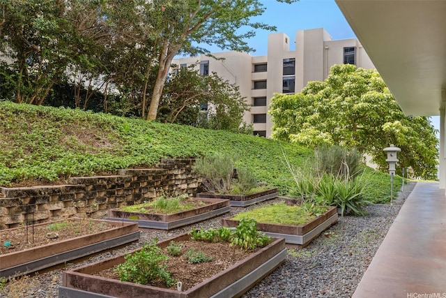 999 Wilder Ave Unit 1603, Honolulu, HI 96822 - view of community featuring a garden