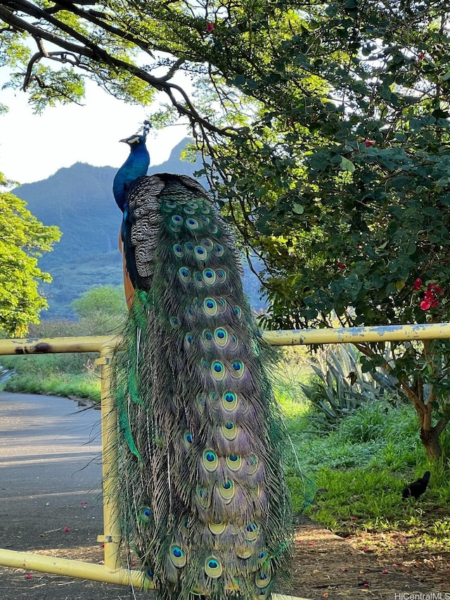 84-754 Ala Mahiku St Unit 1145C, Waianae, HI 96792 - exterior view of a mountainous background