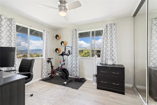 95-1031 Kuauli St Unit 87, Mililani, HI 96789 - office with ceiling fan, light wood-style floors, and baseboards