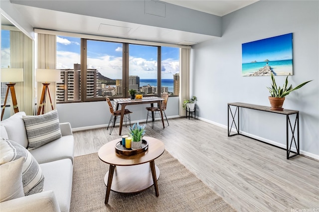 411 Hobron Ln Unit 3905, Honolulu, HI 96815 - living area with wood finished floors, plenty of natural light, baseboards, and a water view