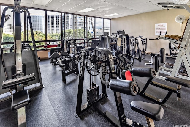 411 Hobron Ln Unit 3905, Honolulu, HI 96815 - exercise room featuring a drop ceiling and a city view