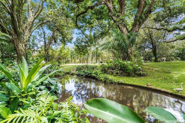 247 Dowsett Ave, Honolulu, HI 96817 - water view