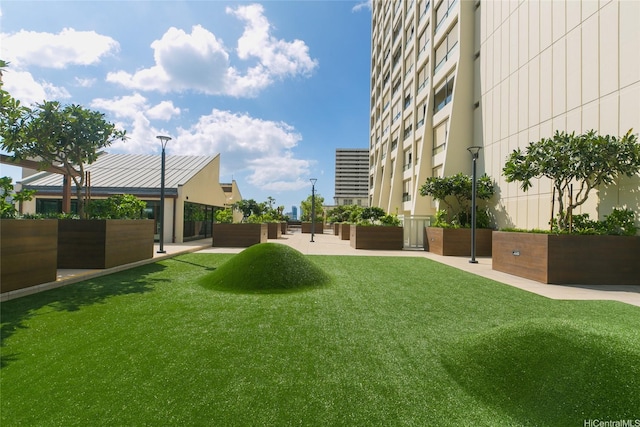 1717 Mott Smith Dr Unit 707, Honolulu, HI 96822 - view of green lawn
