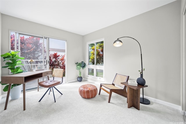 7007 Hawaii Kai Dr Unit A16, Honolulu, HI 96825 - office space featuring carpet and baseboards