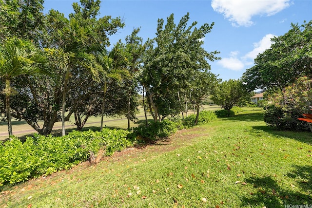 57-91 Lalo Kuilima Pl Unit 5/47, Kahuku, HI 96731 - view of green lawn